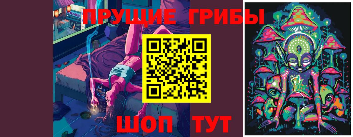 Псилоцибиновые грибы Psilocybine cubensis Бугуруслан